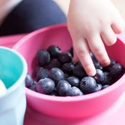 Hand eines Kindes greift Heidelbeeren.