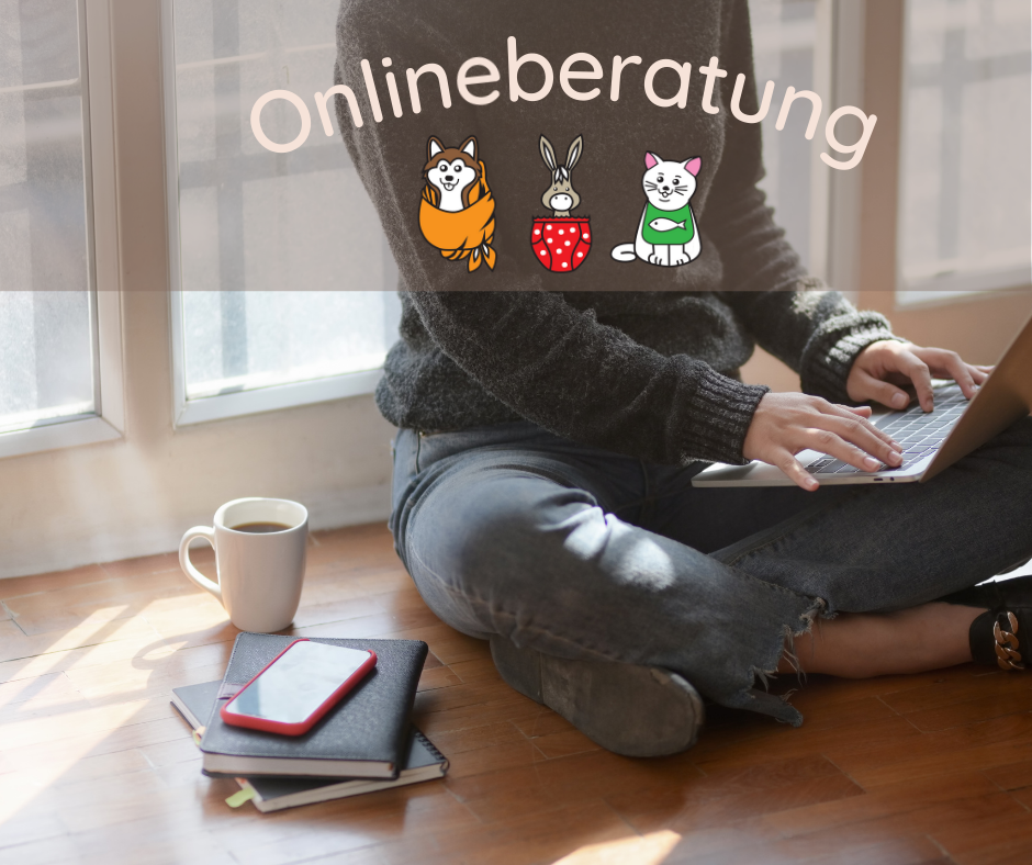 jemand sitzt vor dem Computer. Der Schrift sagt: Onlineberatung und unter dem Schrift stehen Hund, Esel und Katze.